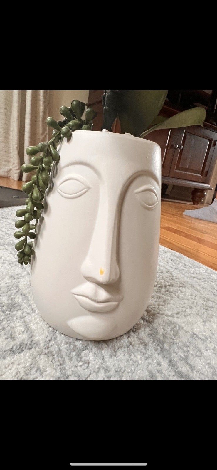 Mask Face Planter with Artificial Succulent – No Water Needed!