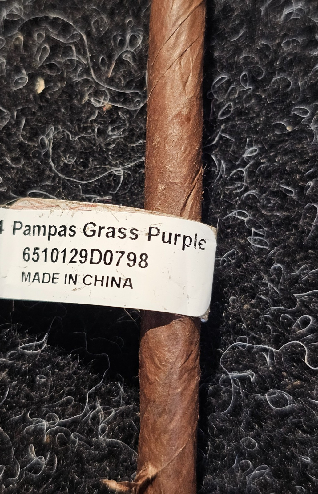 (QTY 2) Arhaus 6510129D0798 Pampas Grass Purple