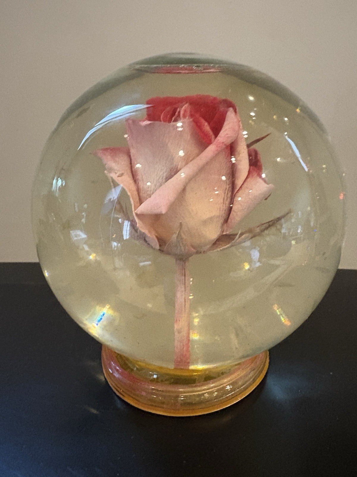 Vintage Preserved Real Rose in Glass Water Dome Globe