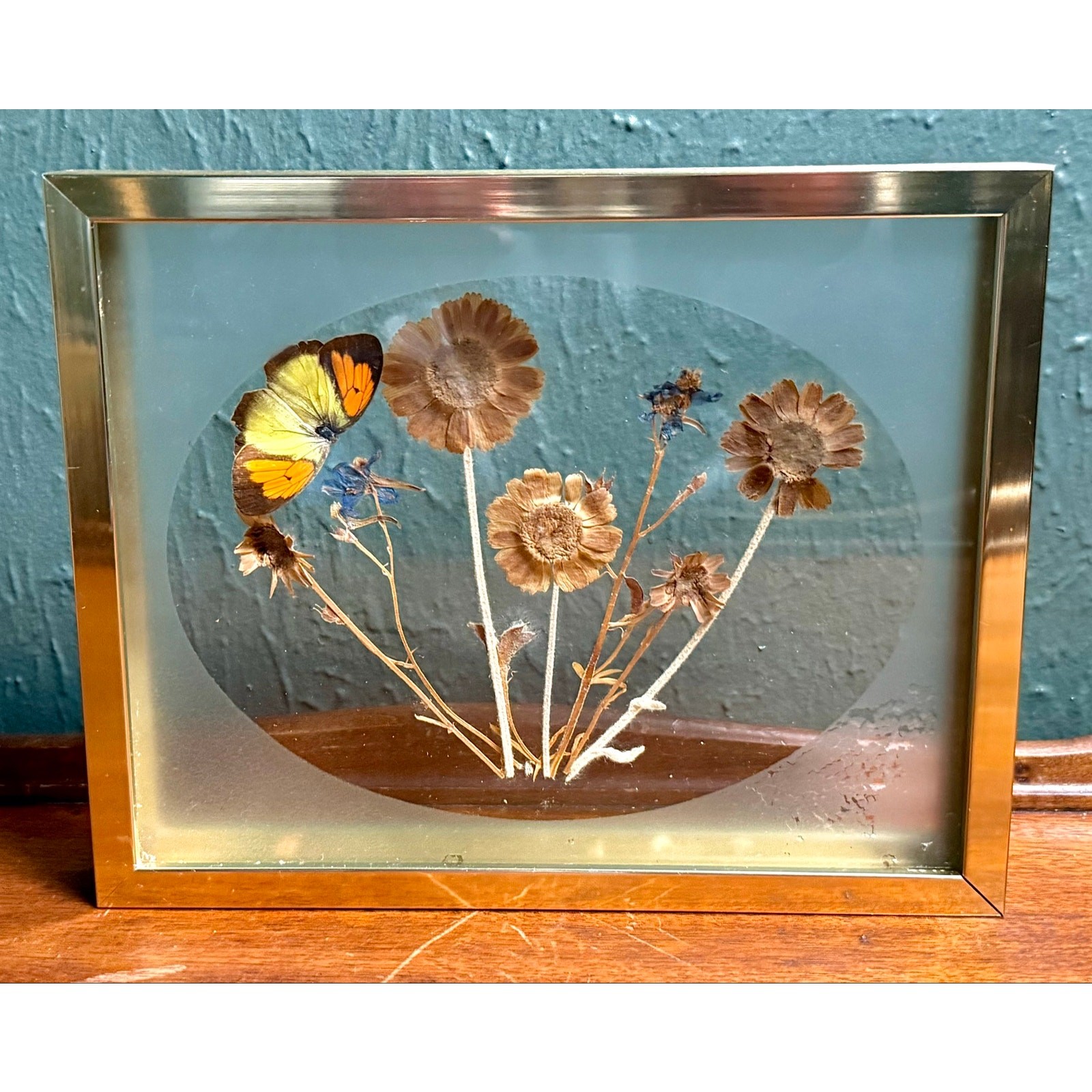 Butterfly Botanical Glass Frame 1980s Vintage Wall Decor