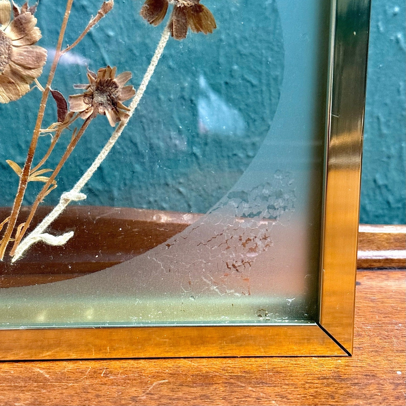 Butterfly Botanical Glass Frame 1980s Vintage Wall Decor
