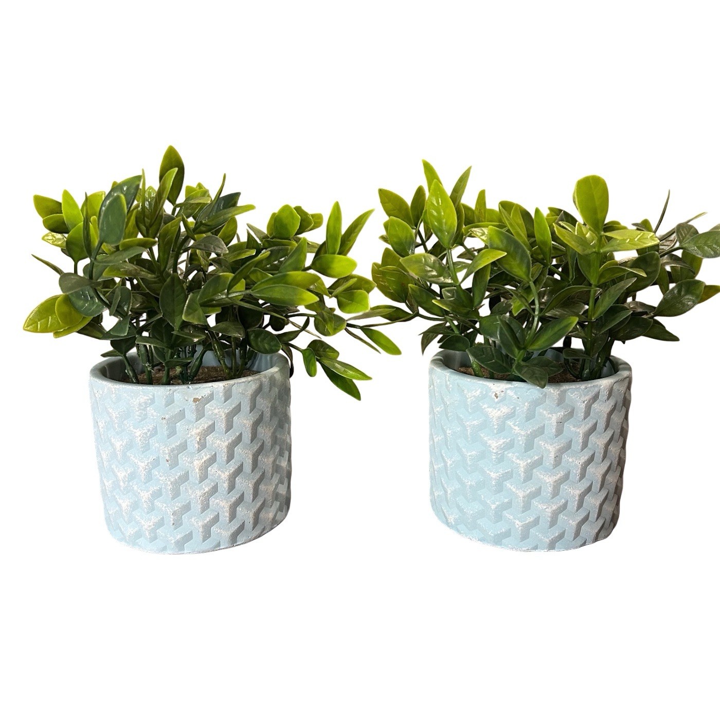 Artificial Potted Eucalyptus Plants 8” Blue Textured Ceramic Vase Set Of 2