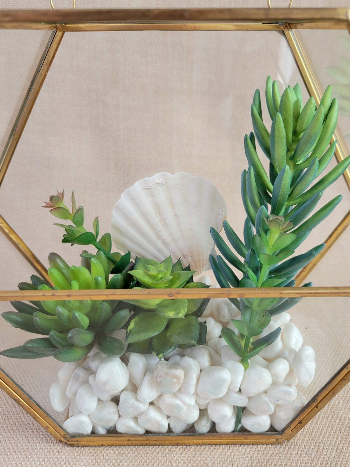 Plant Terrarium Geometric Gold Edge Planter Artificial Succulent Open Side Glass