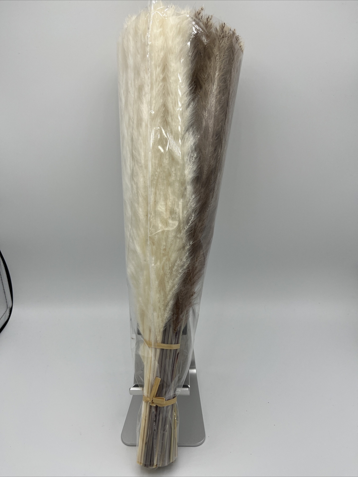 Pampas Grass 85-Pcs Dried Grass Decor NEW Free Ship