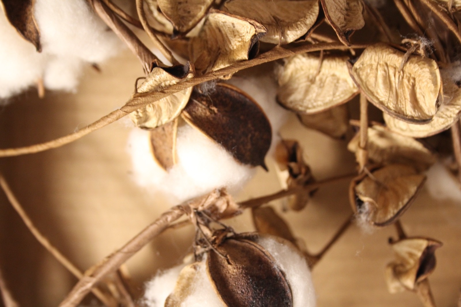 Dried Cotton Ball Boll Foliage Bendable Southern Garland Swag Decor 70 In.