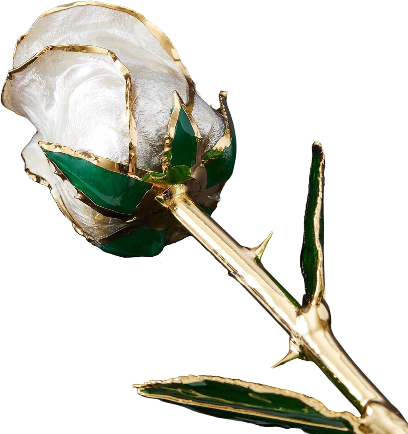 24K Gold Dipped Rose – Pearl Collection Gift for Her (Angel Dust)
