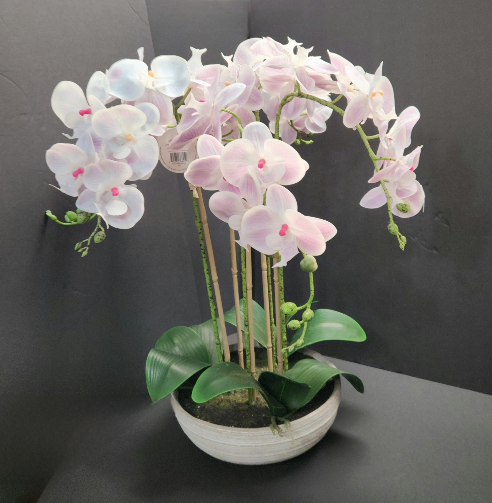 Allen + Roth Silk Artificial Orchid – New