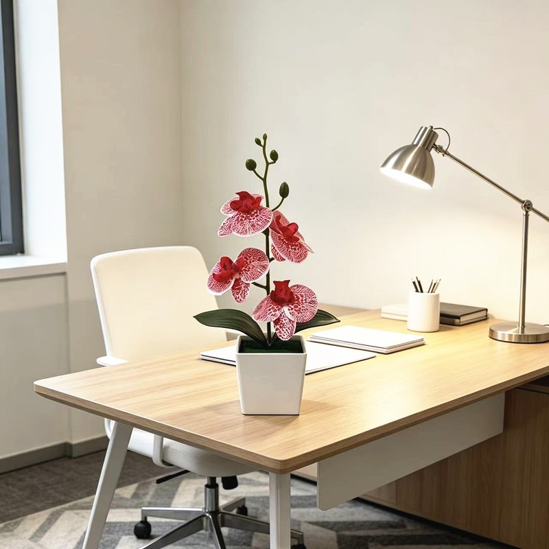 4-Bloom Faux Phalaenopsis Orchid in Trendy White Square Pot for Any Room