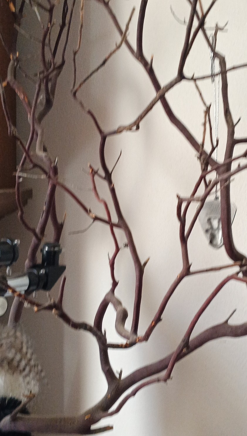 Manzanita red Decorative Branches for Floral Arrangement and home Décor
