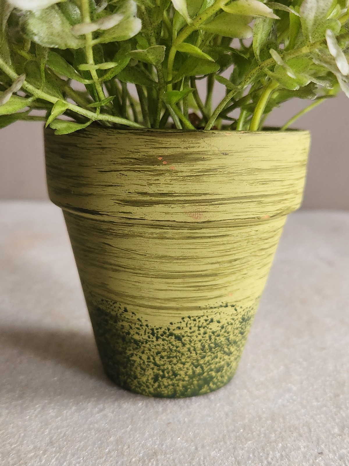Small Green Ceramic Flower Pot with Artificial Baby Tear Plant • Pot 3⅜” Tall