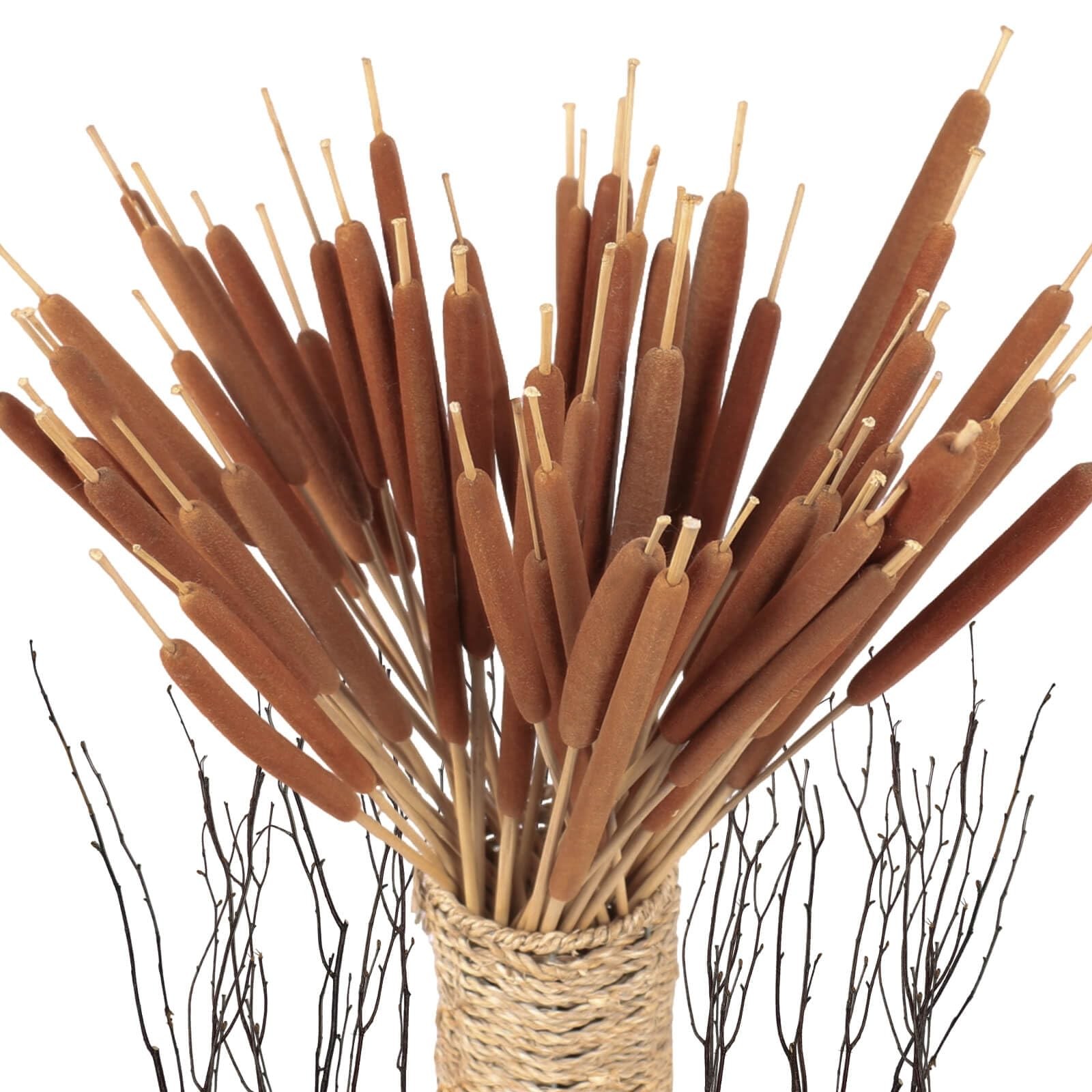 45pcs Large Natural Brown Cattails Bundles – Dried Flowers Real Cat Tails for…