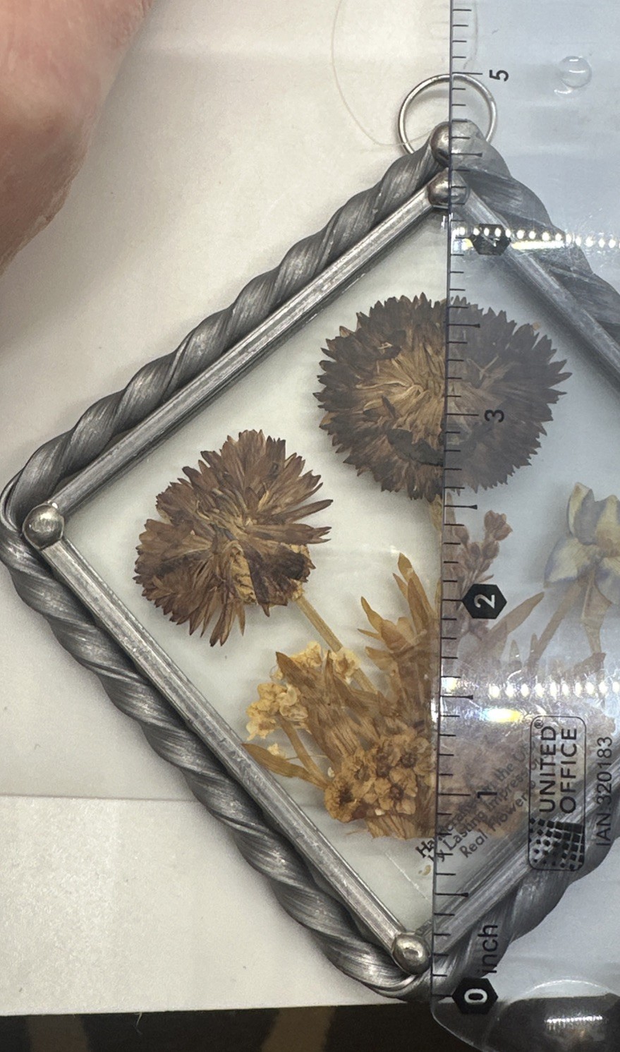 Dried Pressed Flowers Framed Glass Vintage Hanging Decor Lasting Impressions USA