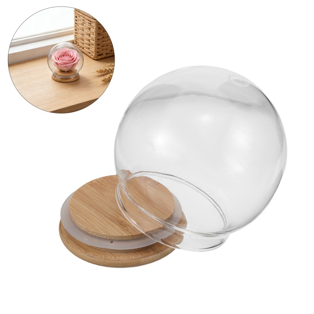 2Pcs Clear Cloche Glass Dome – Eternal Flower Cloche with Base – Collectibles