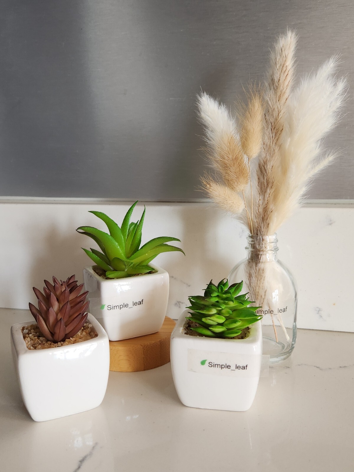 Decor Set – 3 Potted Artificial Succulent, Dried Grass Bouquet in Glass Bottle