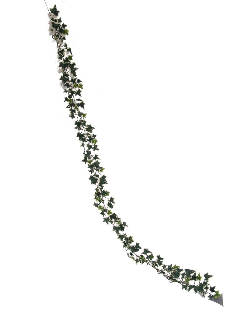 Variegated English Ivy Garland 185 Realistic Silk Home/Event Decor 6ft Set of 2