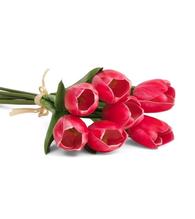 Martha Stewart artificial REAL TOUCH TULIPS Spring Summer bundle Tulip NEW set 7