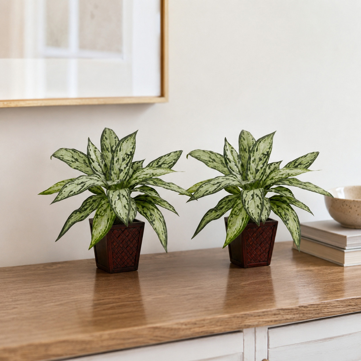 Silver Queen Silk Plant (Set of 2)