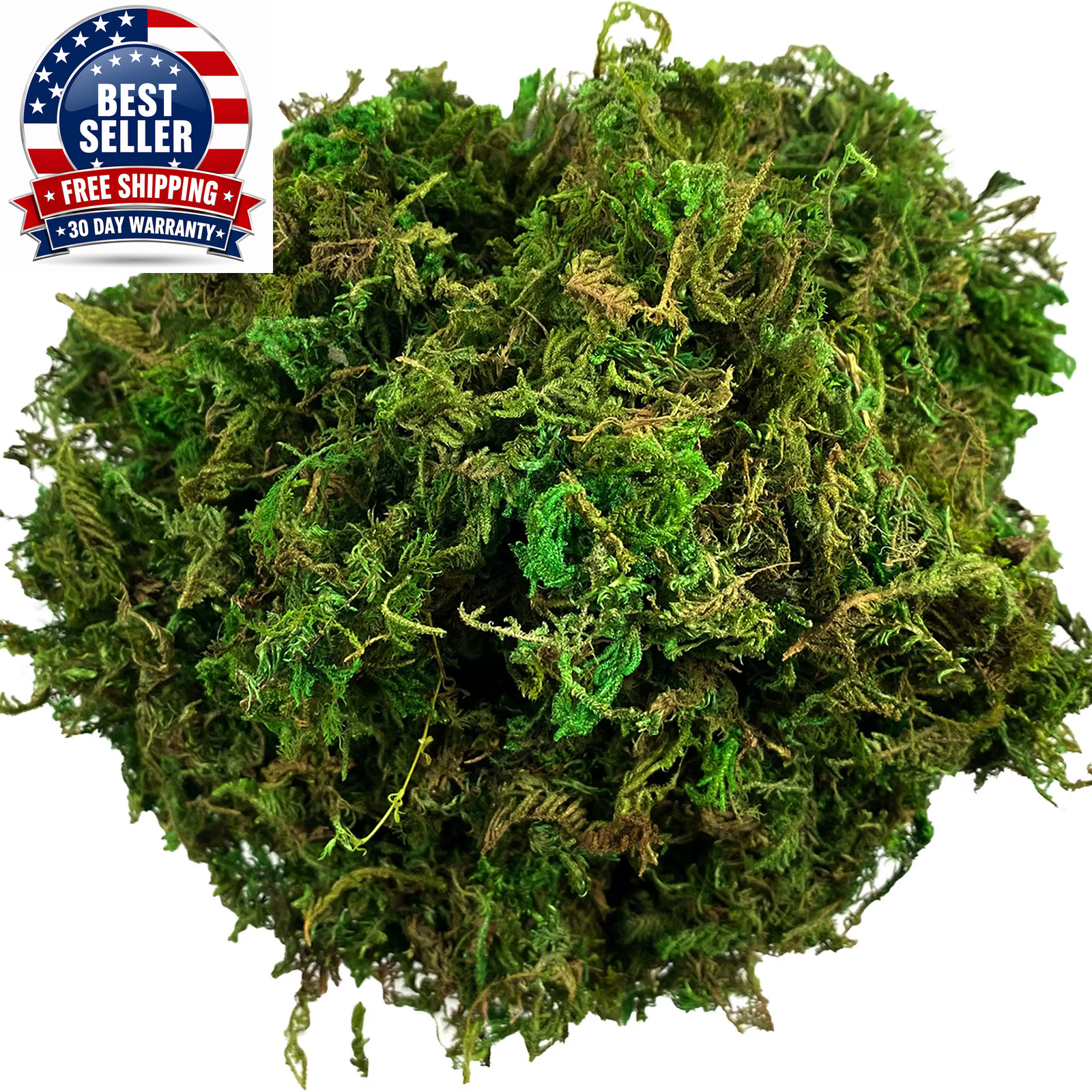 Artificial Moss Green for Potted Plant Orchid Potting Mix Peat Moss Pole Craft