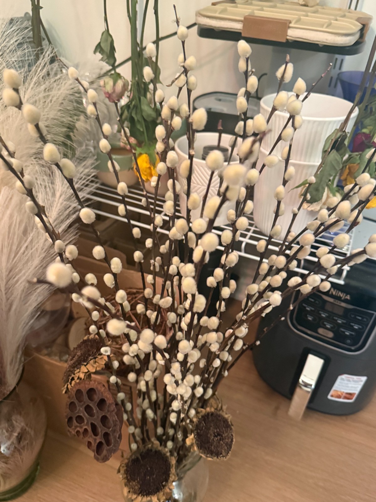 Rustic Natural Dried Pussy Willow Stems for Bouquets Crafts Vase Decor 10 Stalks