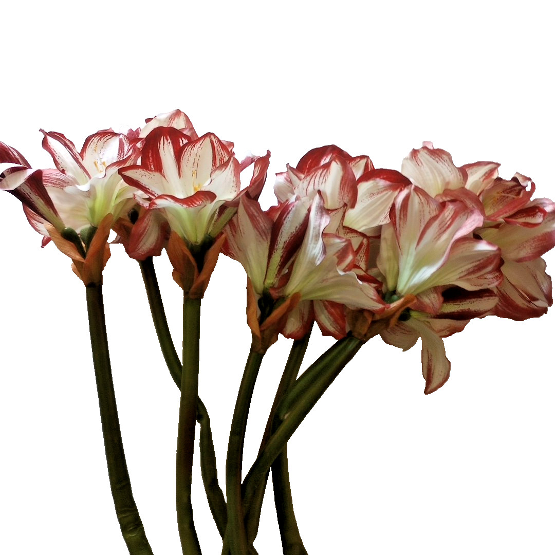 Silk flower Amaryllis Stems 7 Stalks Approximately 29″ Beautiful, Stems AS IS