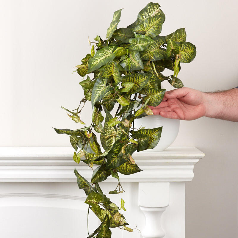 Hanging Artificial Syngonium Vine Bush