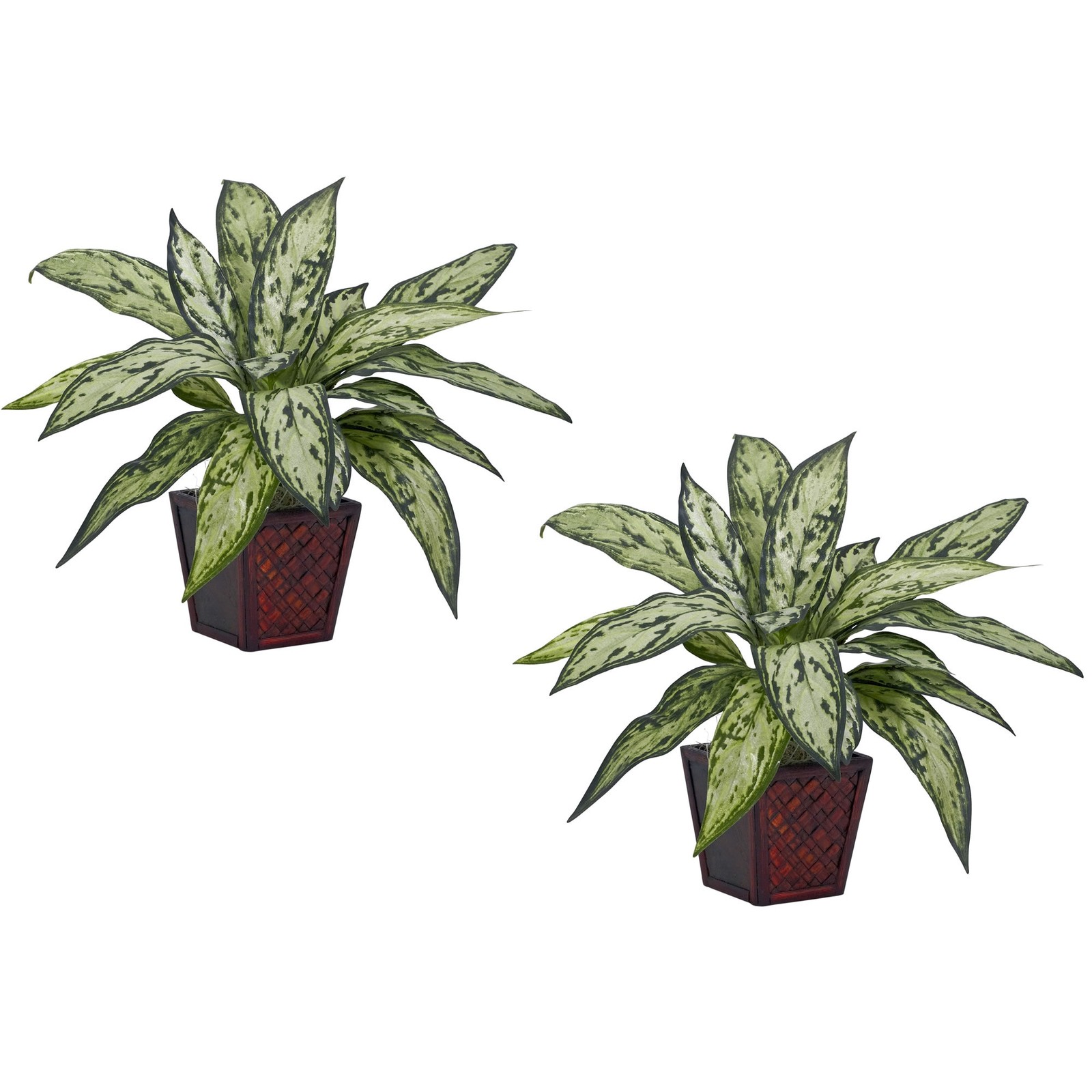 Silver Queen Silk Plant Set of 2 Artificial Realistic Indoor Decor 12 Inch