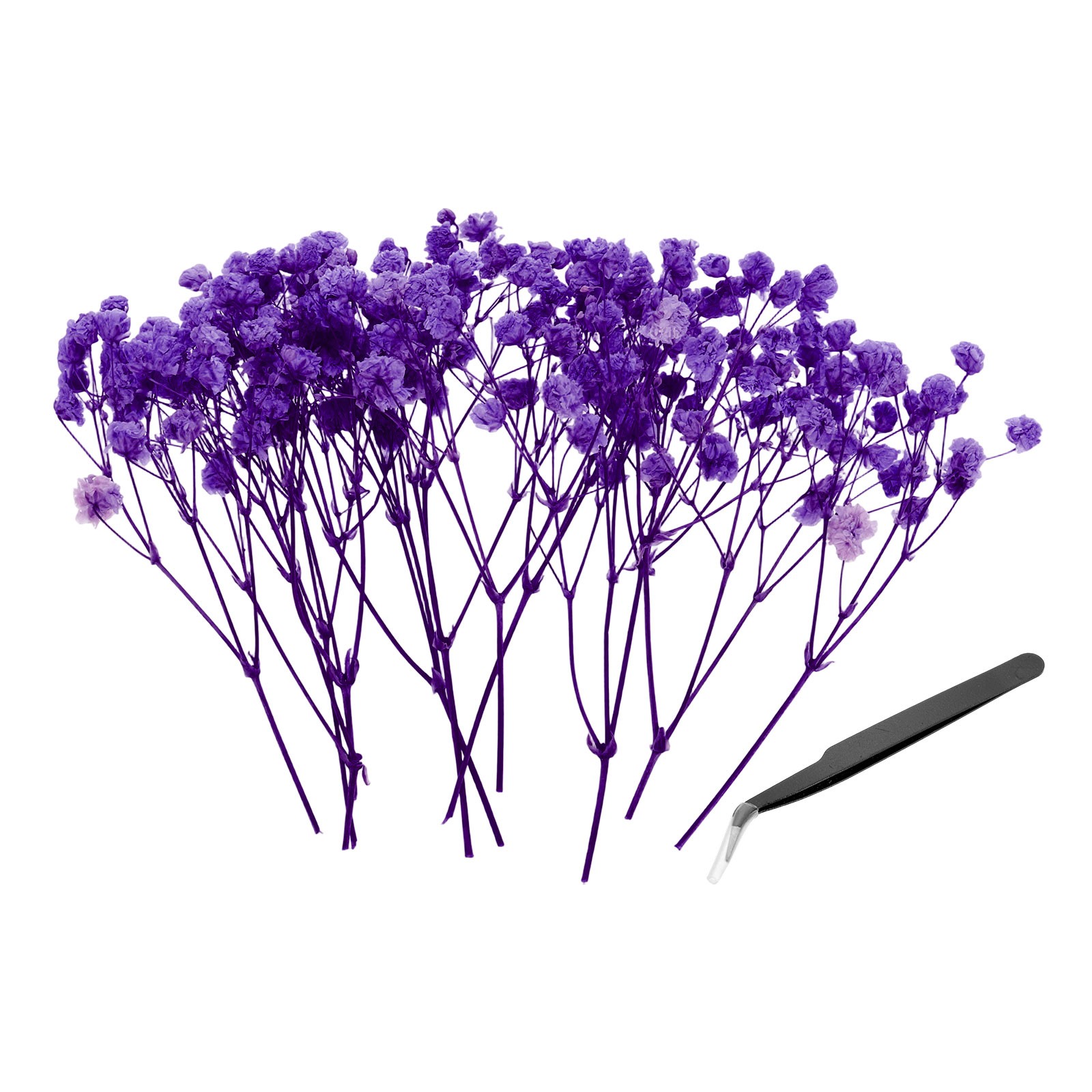 30 Pcs Dried Gypsophila Flower 4″ Blue Purple Pressed Flowers with Tweezer