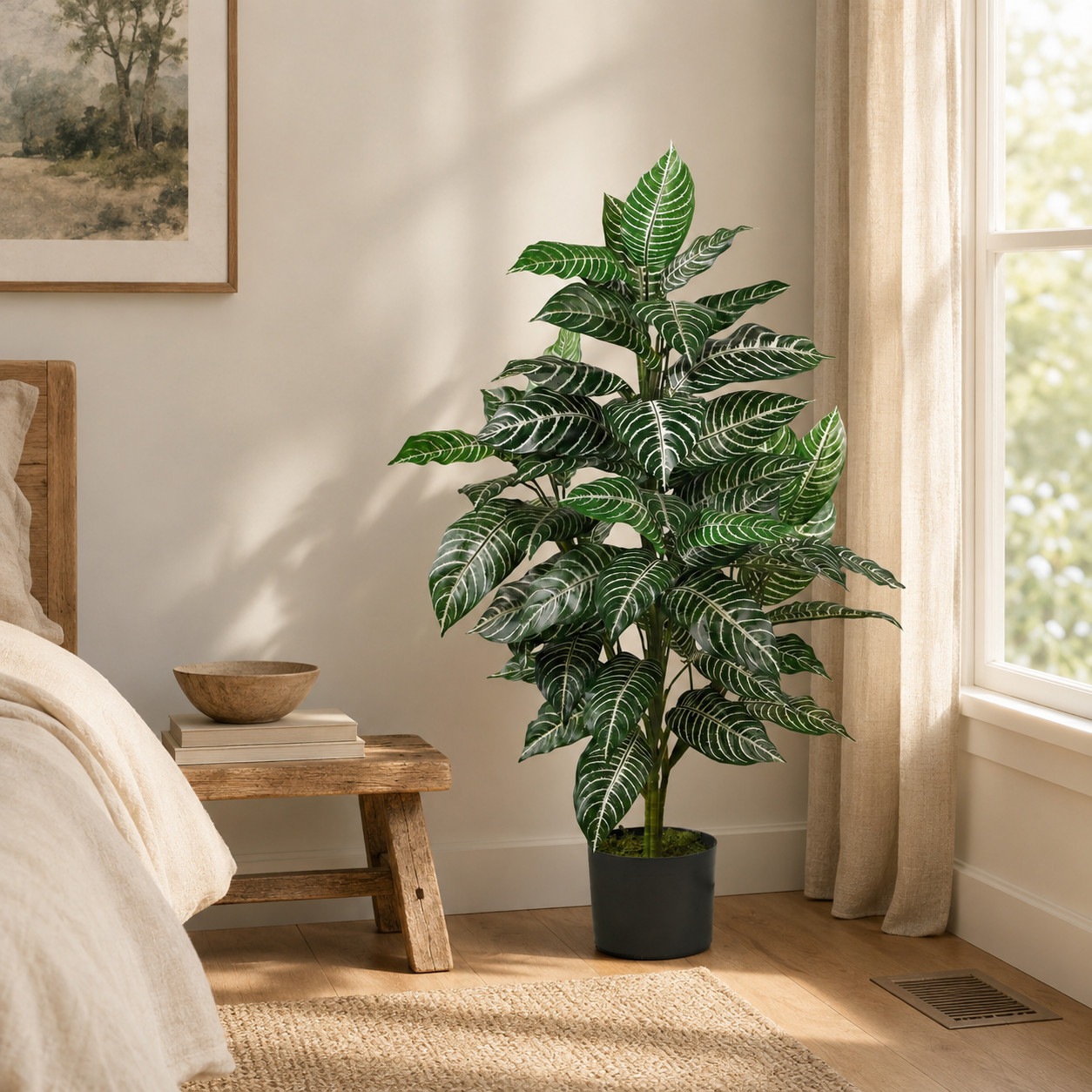 3′ Zebra Silk Plant