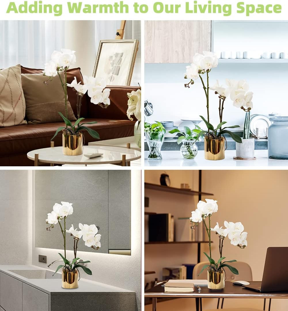 Real Touch White Orchid Arrangement in Ceramic Vase – 19.7” Home Decor