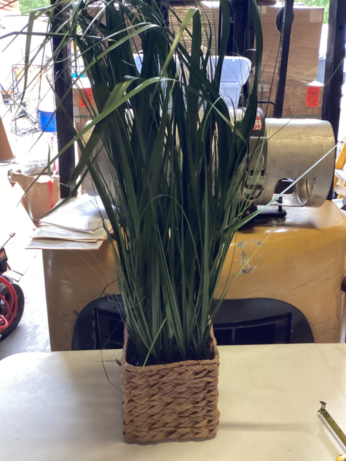 GREEN GRASS THICK IN ROPE BASKET ARTIFICIAL FLOWER 36” Tall 8” x 8” Basket