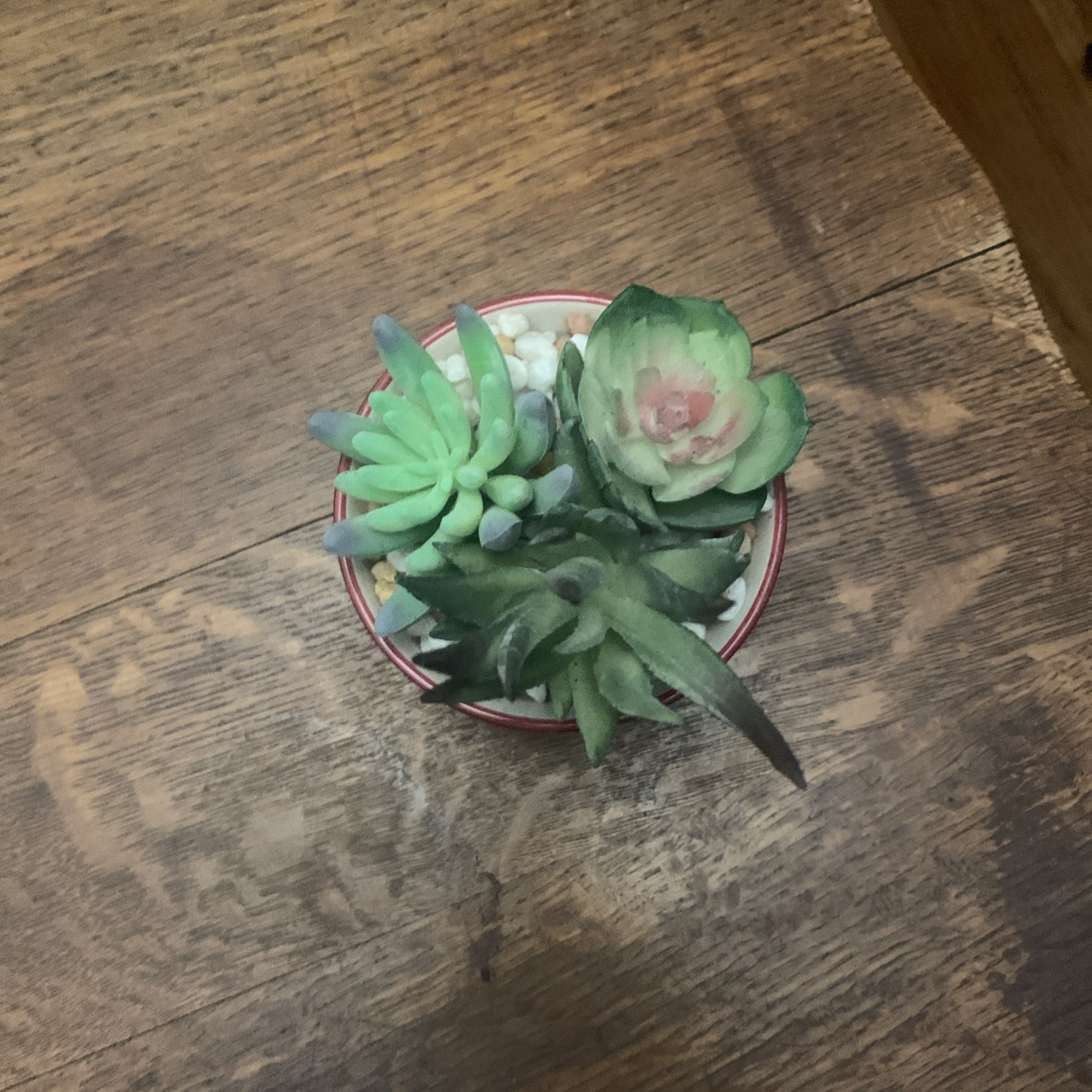 Faux Succulents Ceramic Chevron Design Planter Pot Artificial Plants