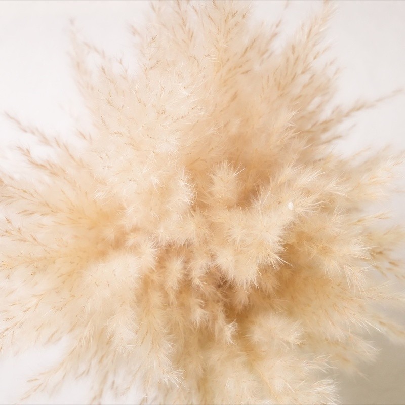 Dried Pampas Grass Arrangement in Brown Ceramic Vase Natural Home Office Decor