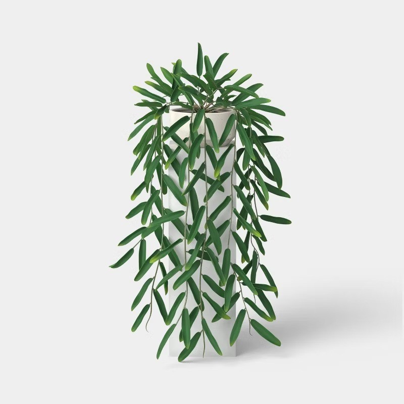 Trailing Leaf Plant Container Material: Stoneware