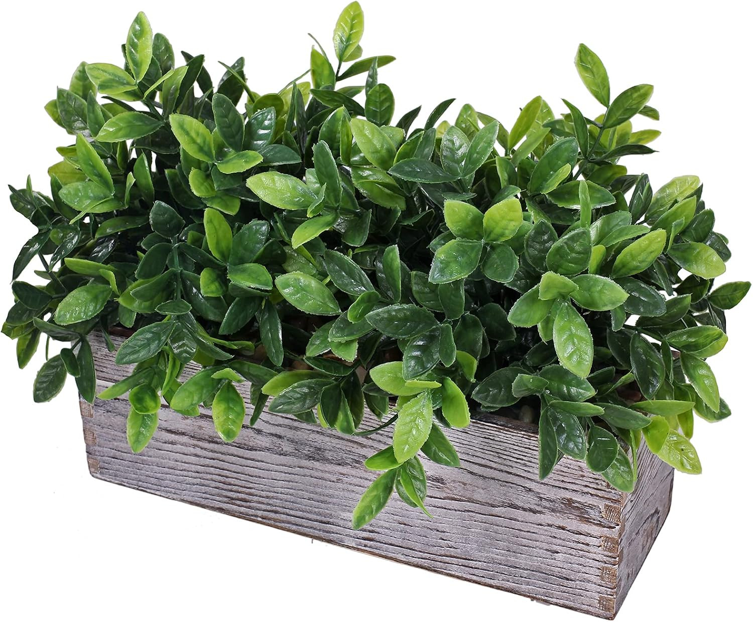 Artificial Eucalyptus Plant in Rustic Rectangular Wooden Planter Box Faux Potted