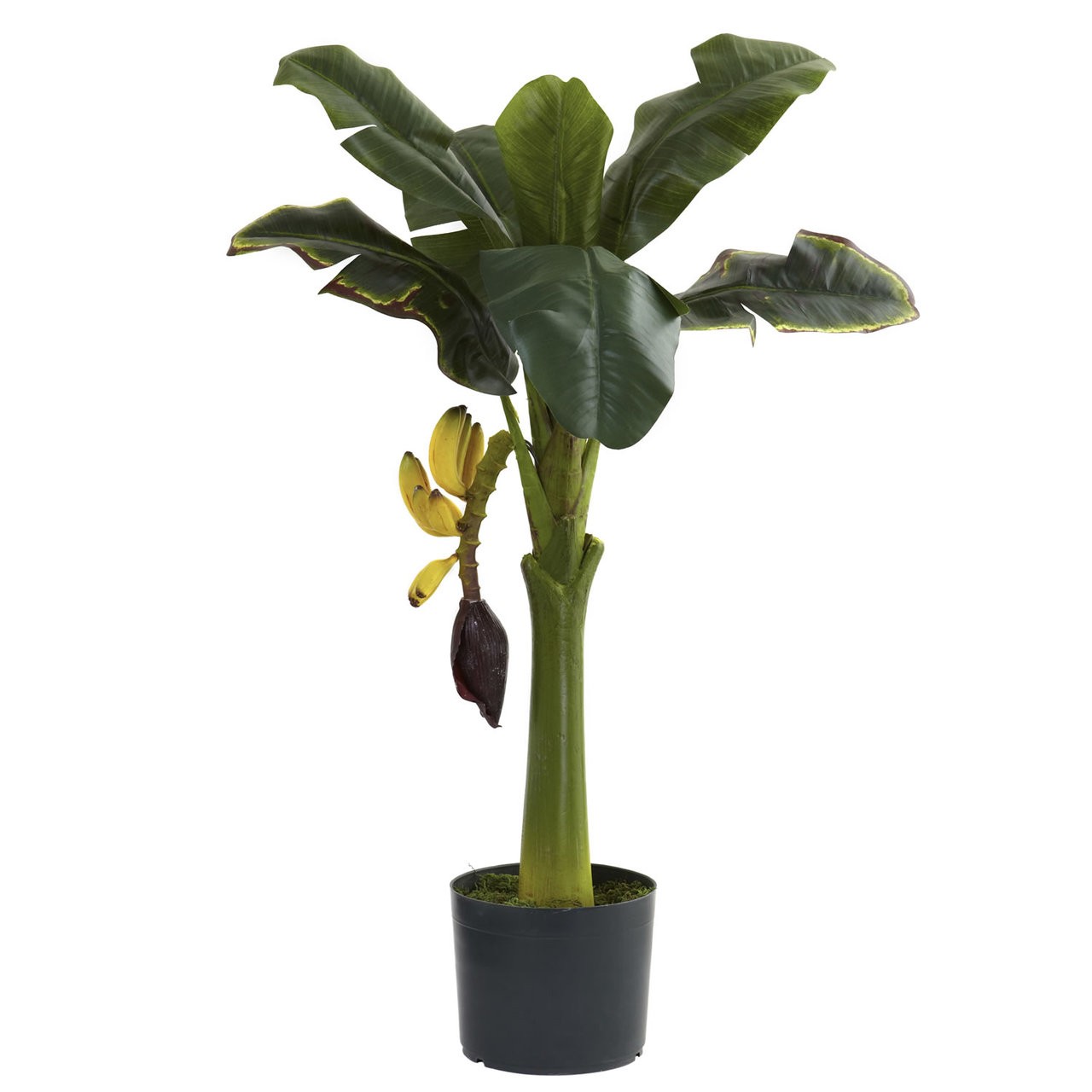 3′ Banana Silk Tree (Real Touch)