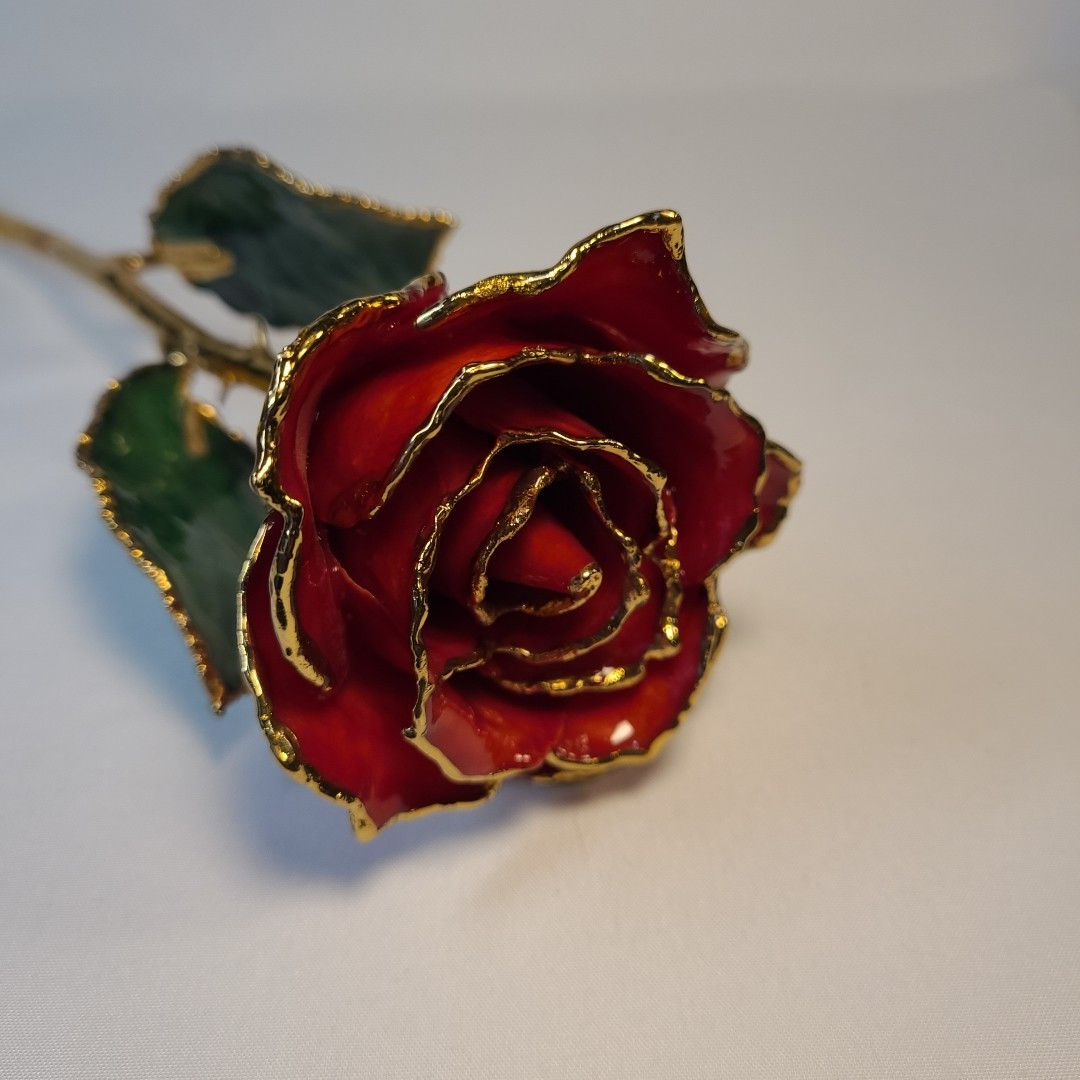 Lacquer Dipped Gold Trim Red Rose 11 in