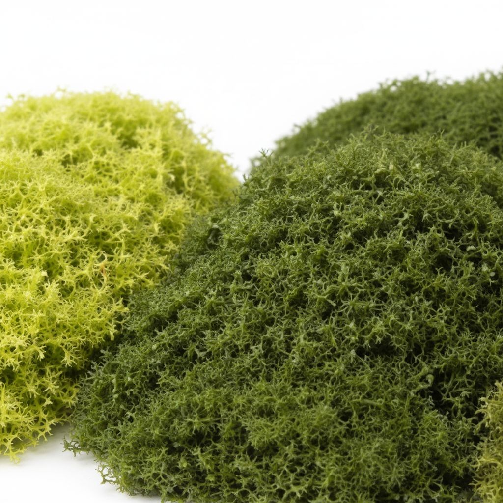 Artificial Moss 3 Color Set Faux Green Moss for Crafts Terrariums Deco