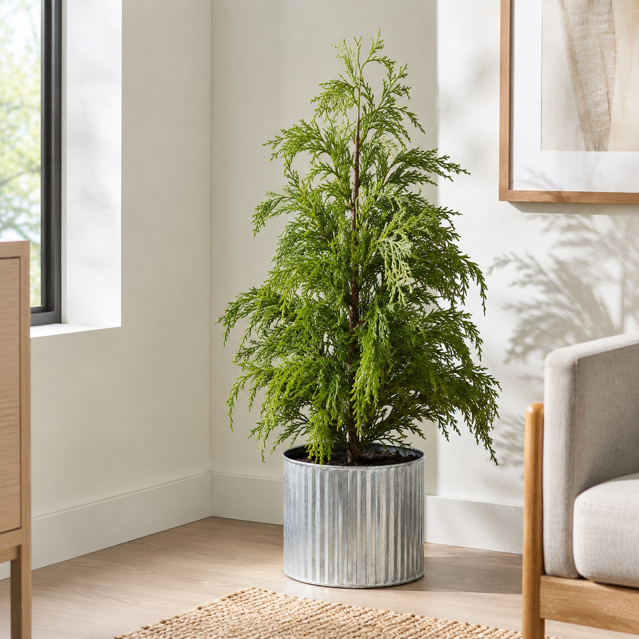 20″ Cedar Pine “Natural Look” Tree in Decorative Planter