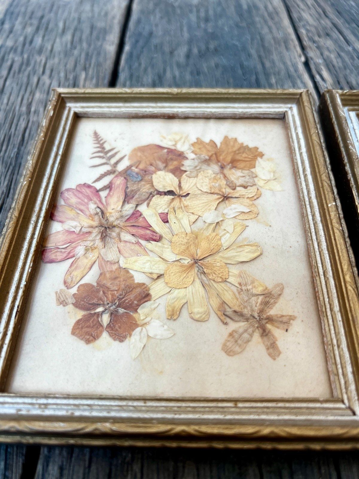Vintage Dried Flower Artwork Set – Gold Wood Frame Wall Art (5 3/4″)