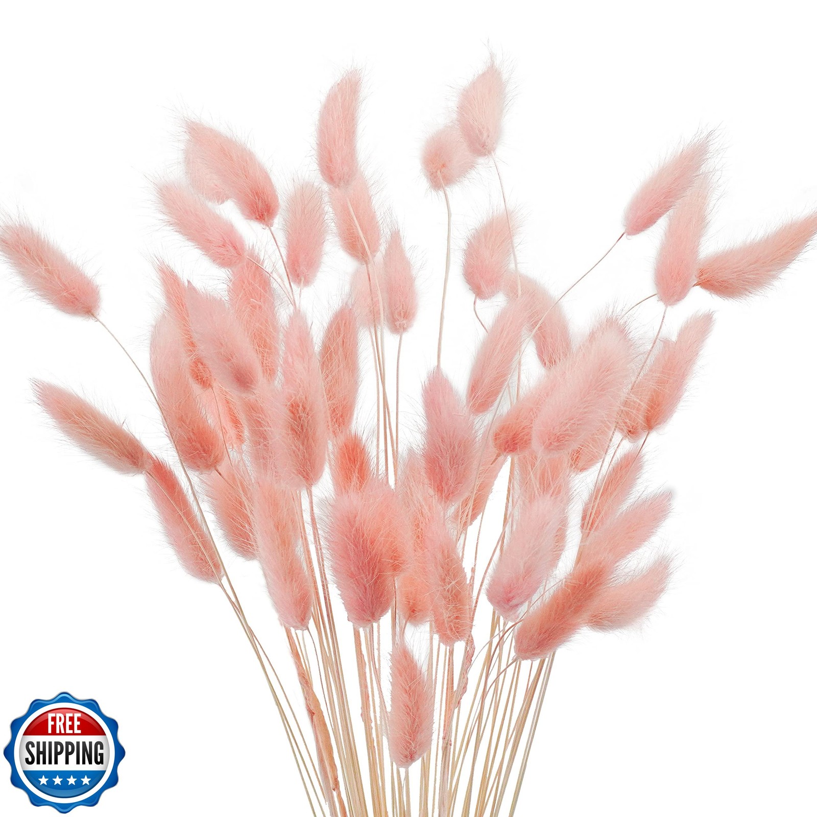 Uieke 17’’ Natural Bunny Tails Dried Flowers, 240 Pcs Dried Lagurus Ovatus, D