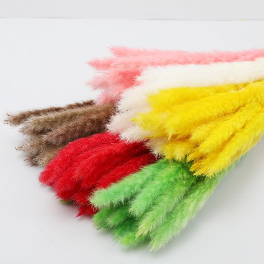 15 Natural Small Pampas Grass Photography Props For Home Decor Easy To Use