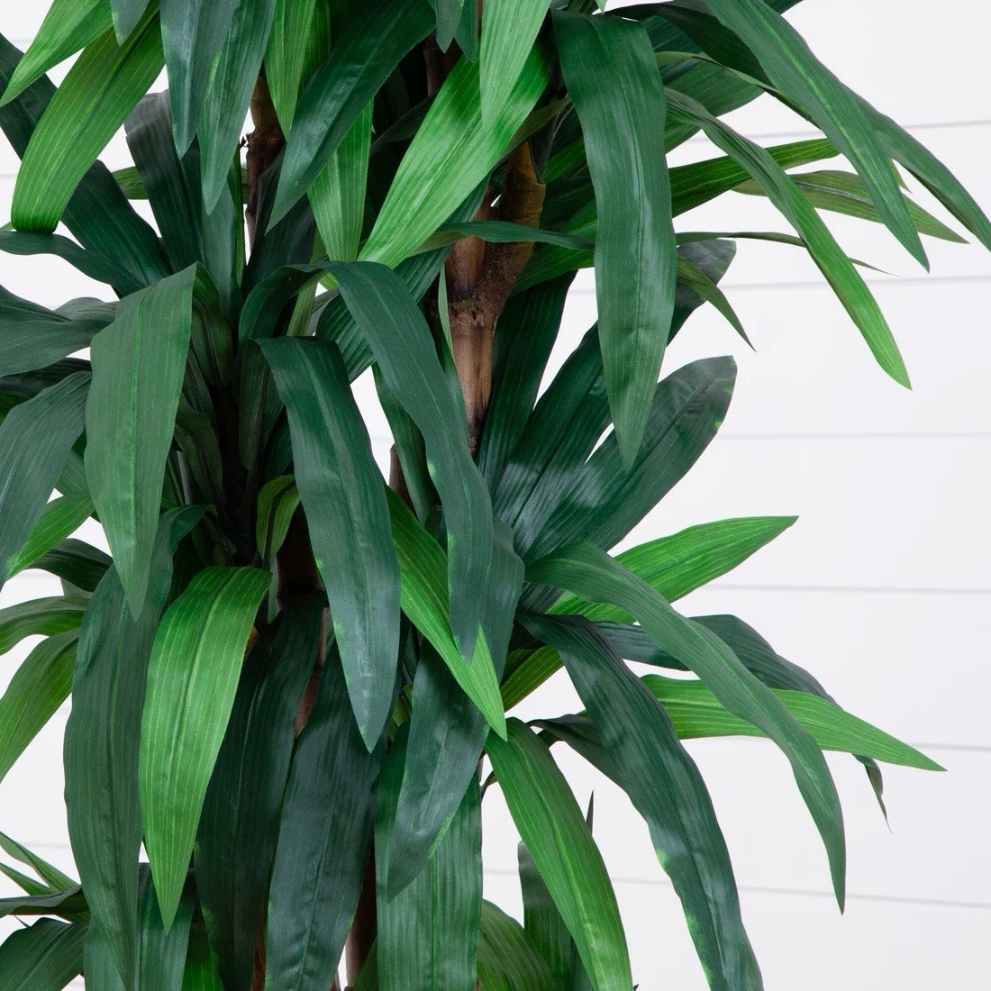 6.5’ Artificial Dracaena Tree Houseplant Plant in Pot, Floral Decor