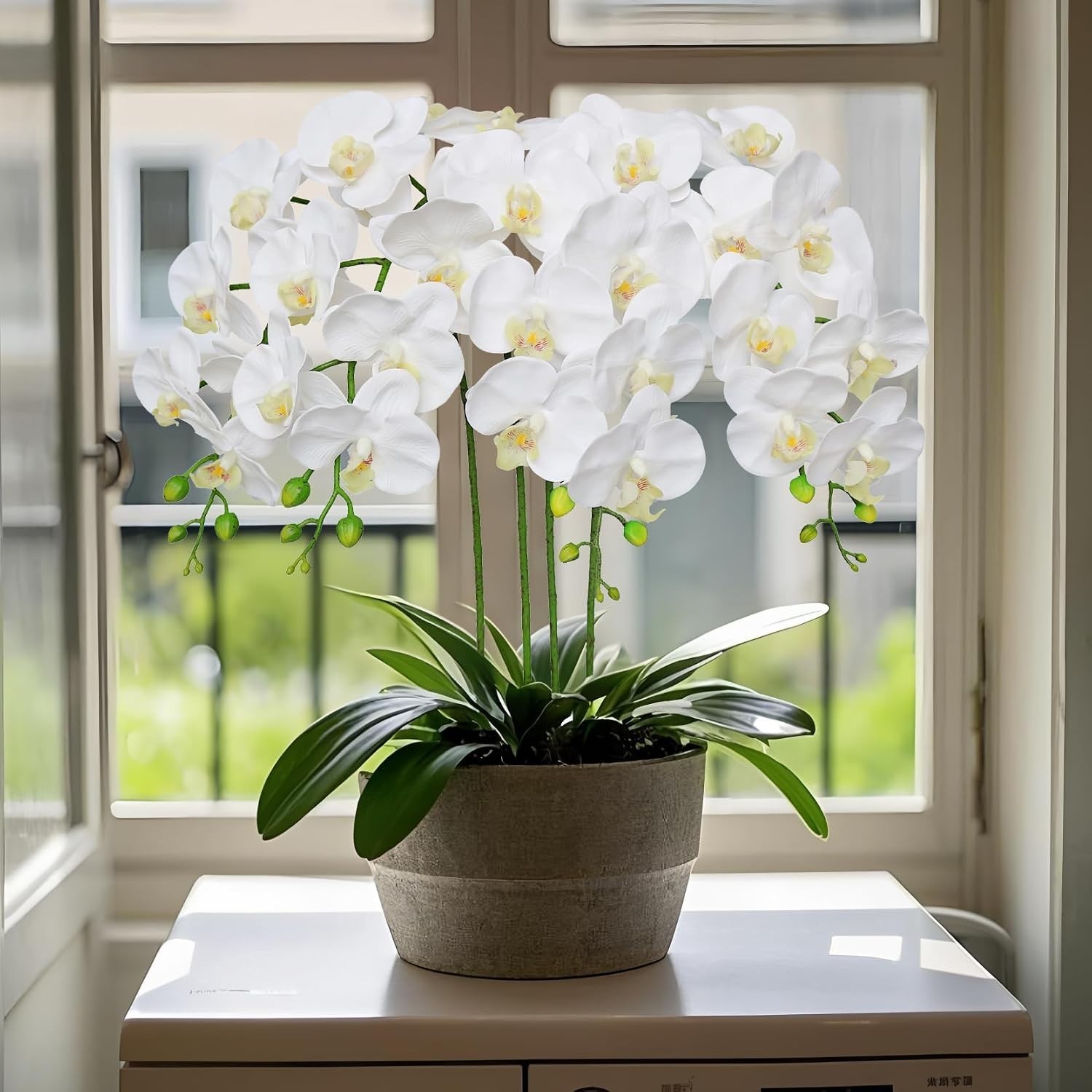 Artificial Phalaenopsis Orchid Flowers 38 Inches White Pack of 2 Home Office …