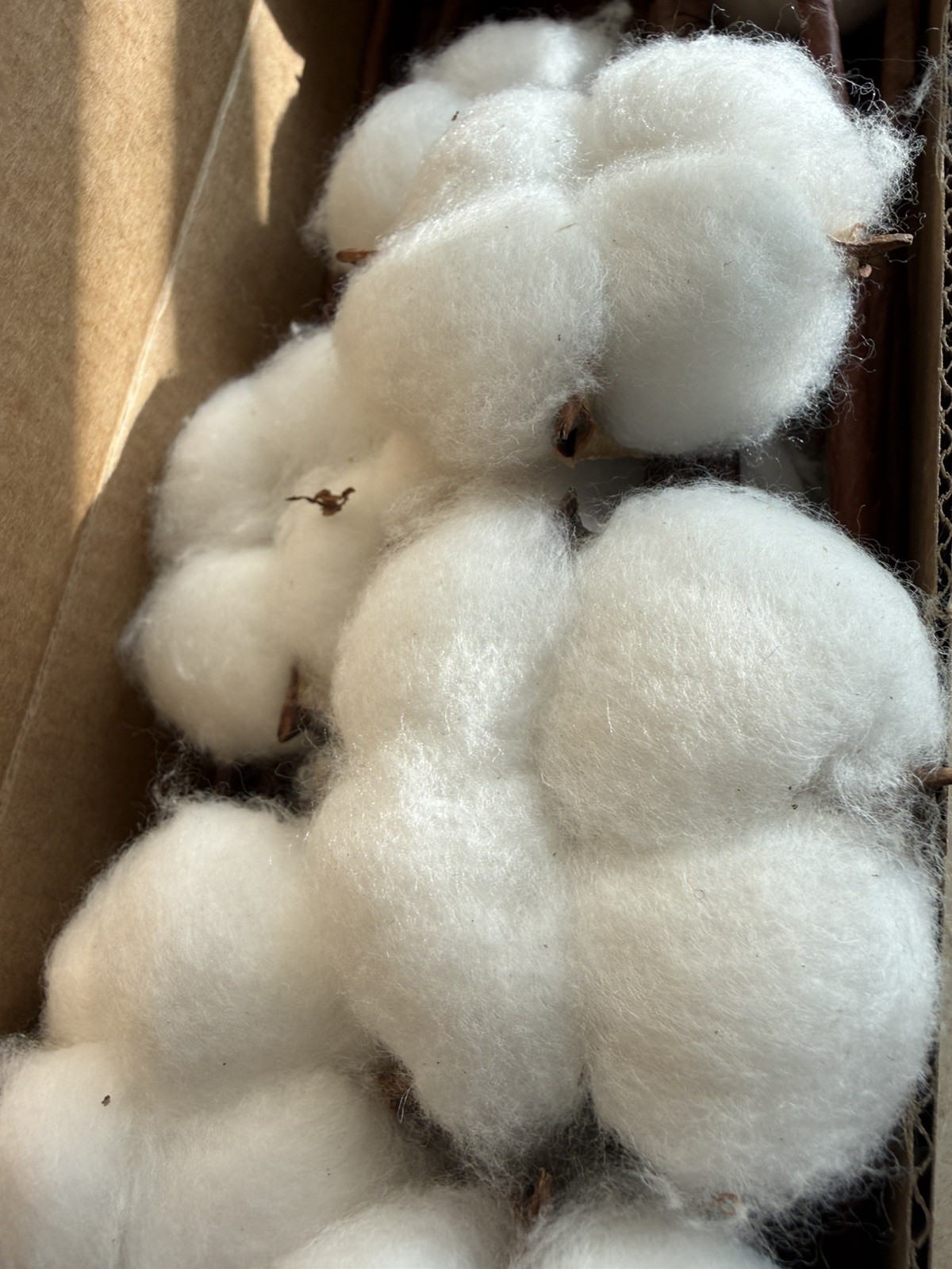 20Pcs Cotton Stems,Fake Cotton Flowers, Artificial Cotton Floral Stems