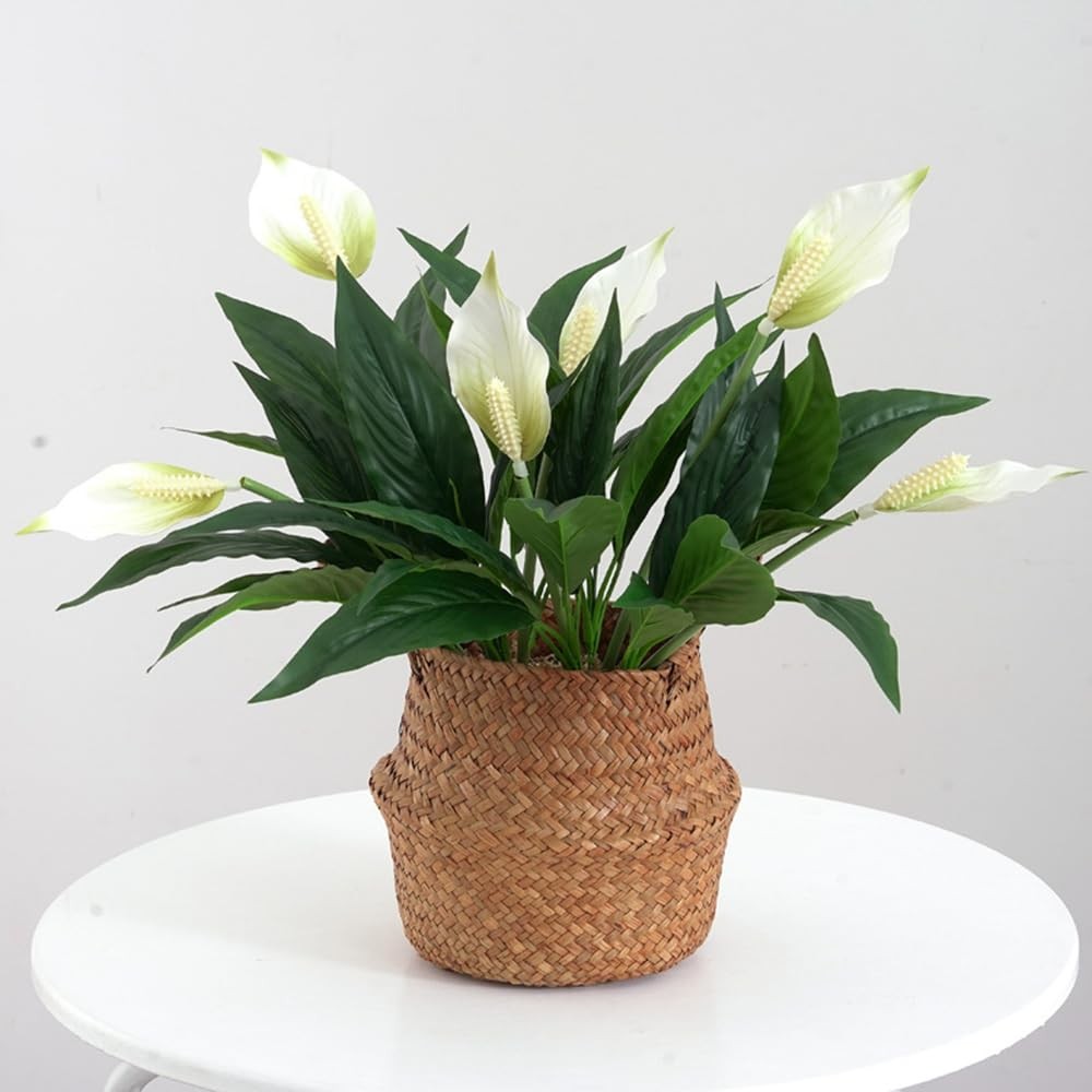 2 Packs Artificial Spathiphyllum Silk Plants 18.5″ Faux Peace Lily Anthurium …