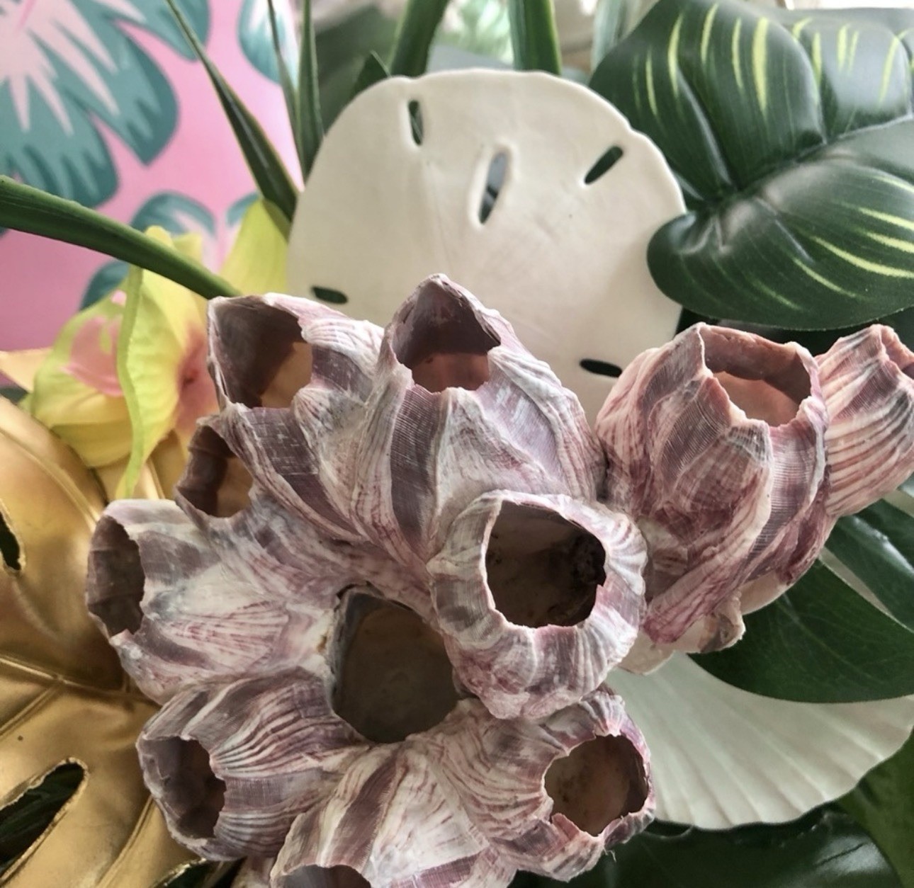 🌴 🌺Gold Hoop Tropical Seashell & Sea Life Wreath