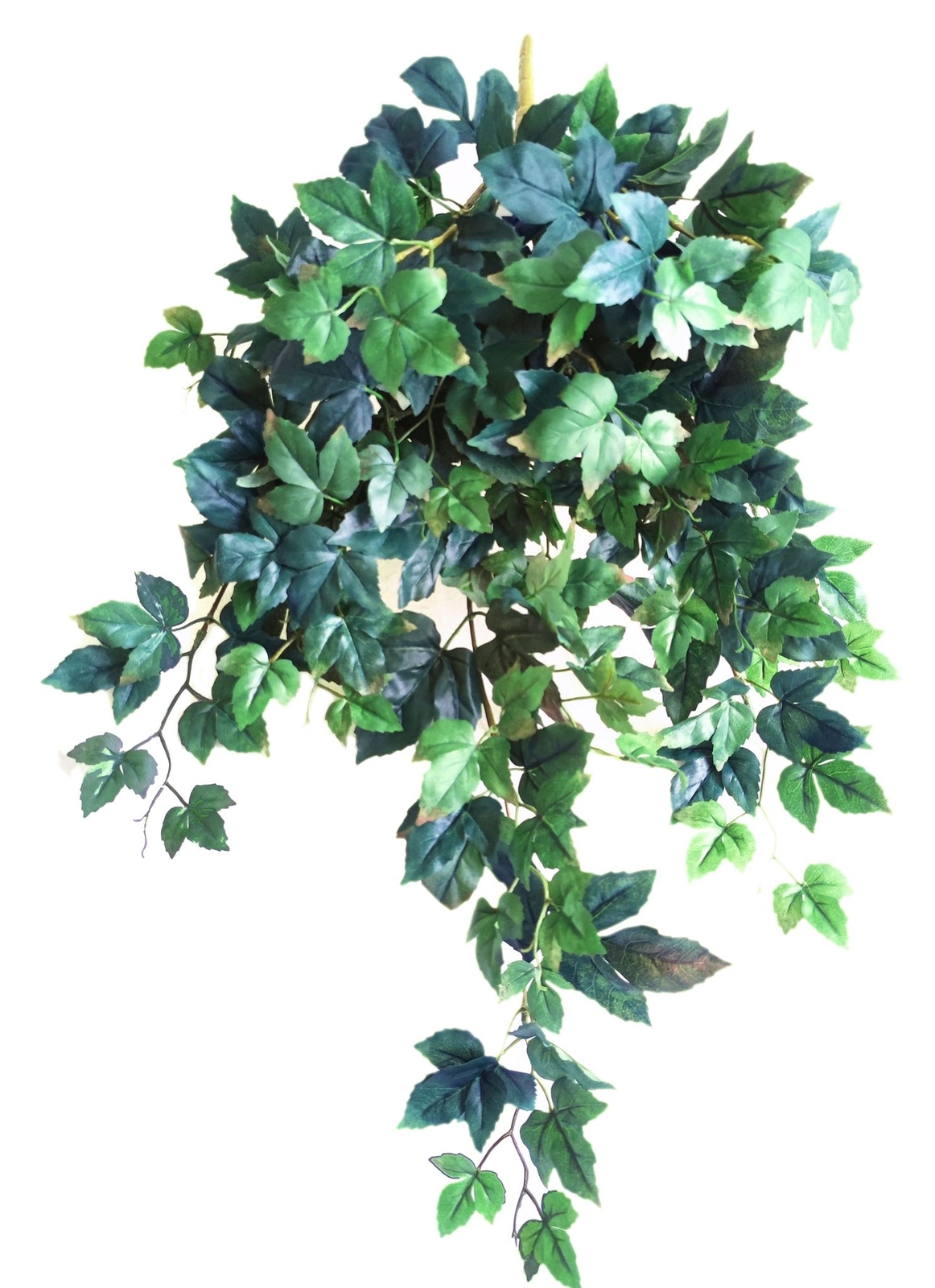 Greenery Delux Maple Ivy Hanging Bush X9 Hanging bush, 34″H, 9 stems, 167Bleav
