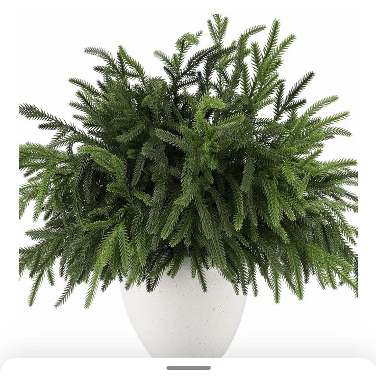 12 Pcs Christmas Norfolk Pine Branches 18 Inch Artificial Norfolk Pine Stems