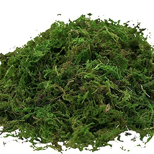 16oz Artificial Moss for Crafts & Decor – Fake Moss for Fairy Gardens, Weddings,