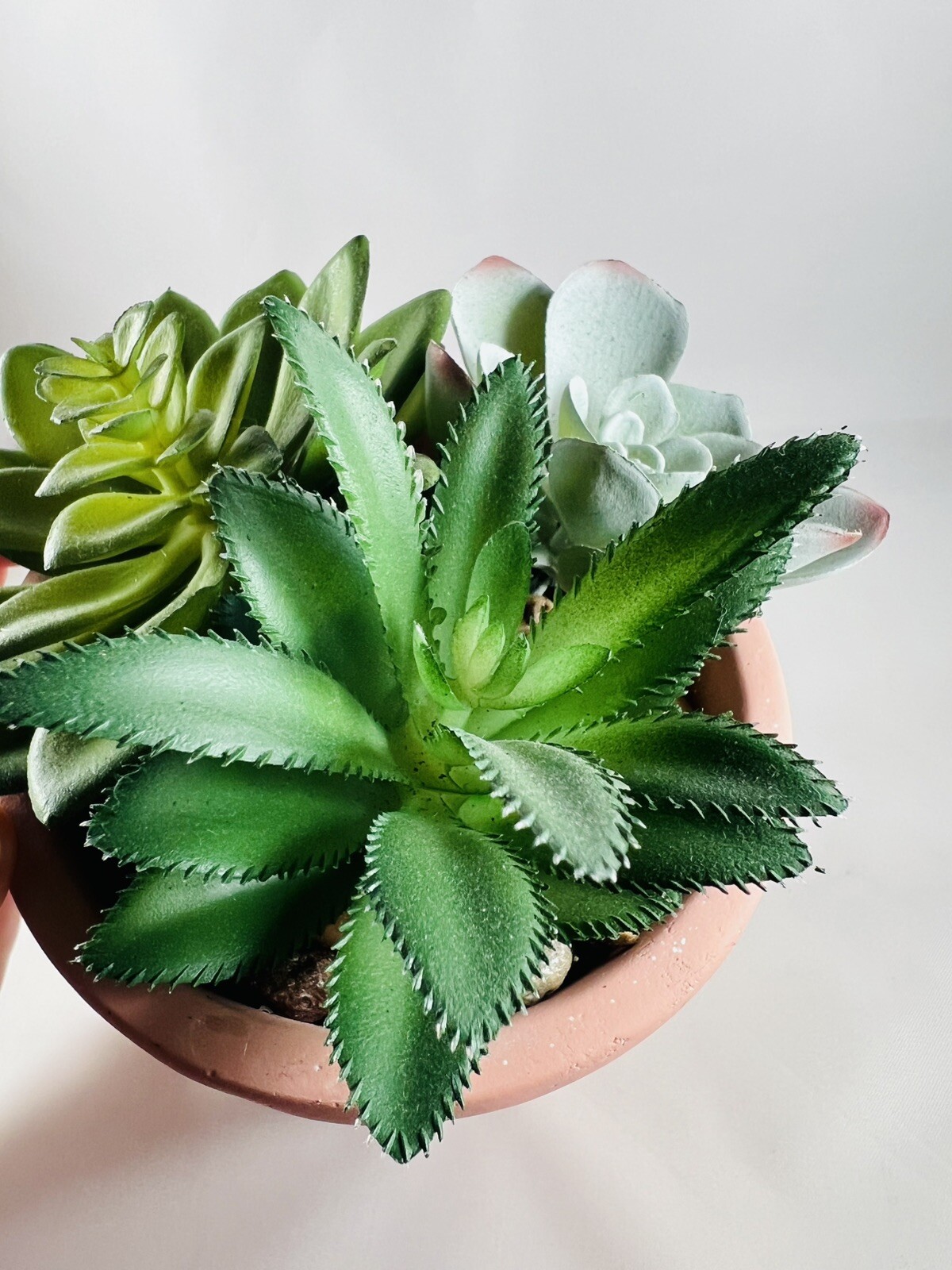 Artificial Succulents in Clay Embossed Pot, 6.5″ tall
